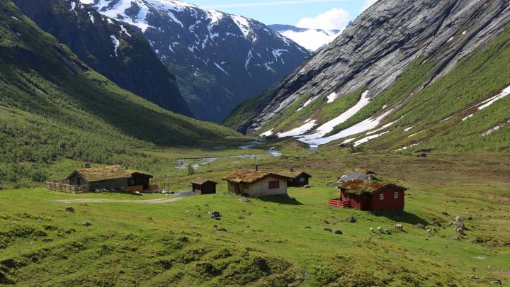 Dachbegrünung in Norwegen