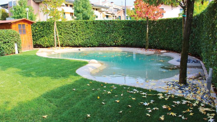 Biodesignpool Konzept